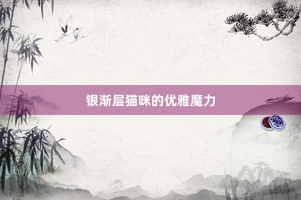 银渐层猫咪的优雅魔力