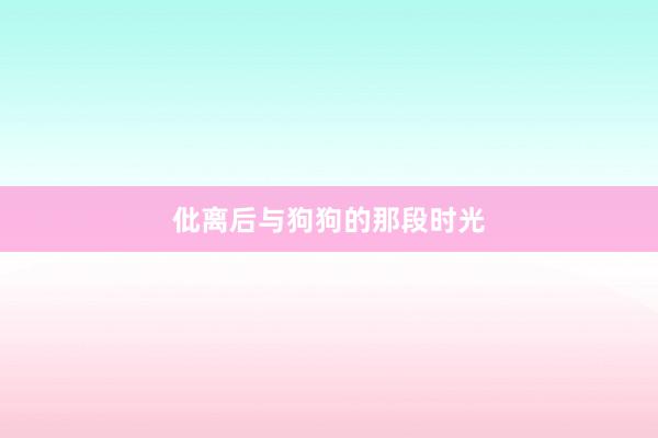 仳离后与狗狗的那段时光